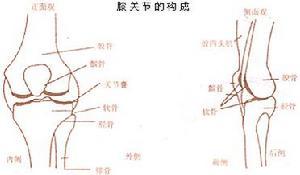 骨髓炎表现和病因是什么？