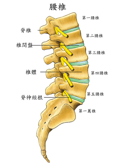 骨质增生