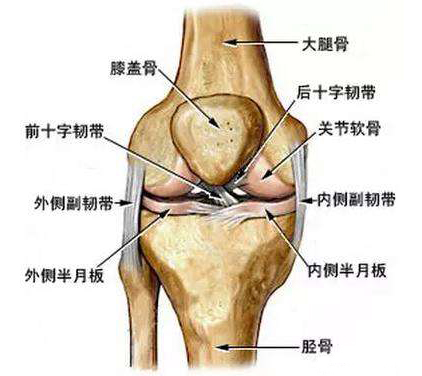 风湿性关节炎